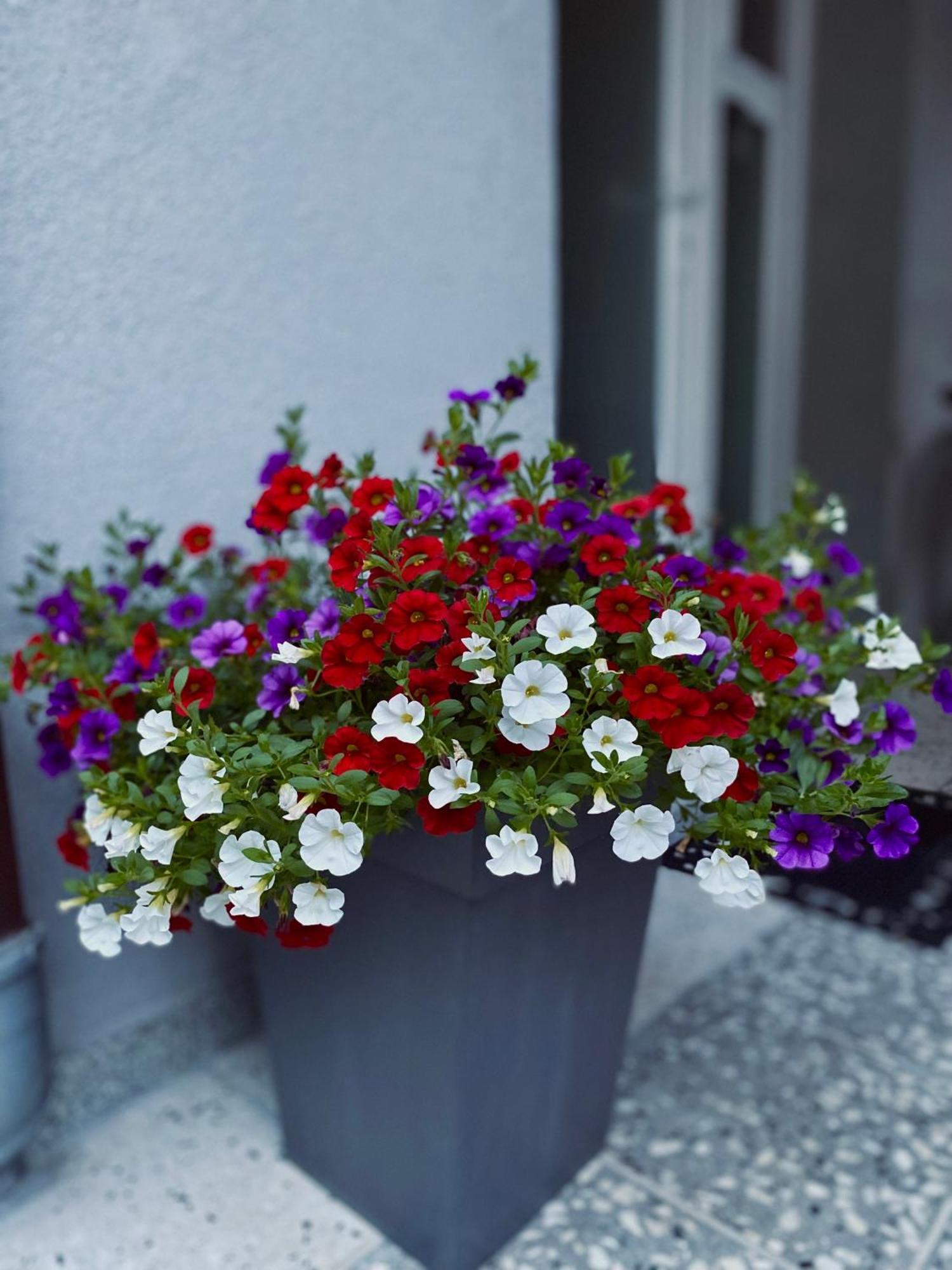 Greenhill Apartments Куманово Экстерьер фото