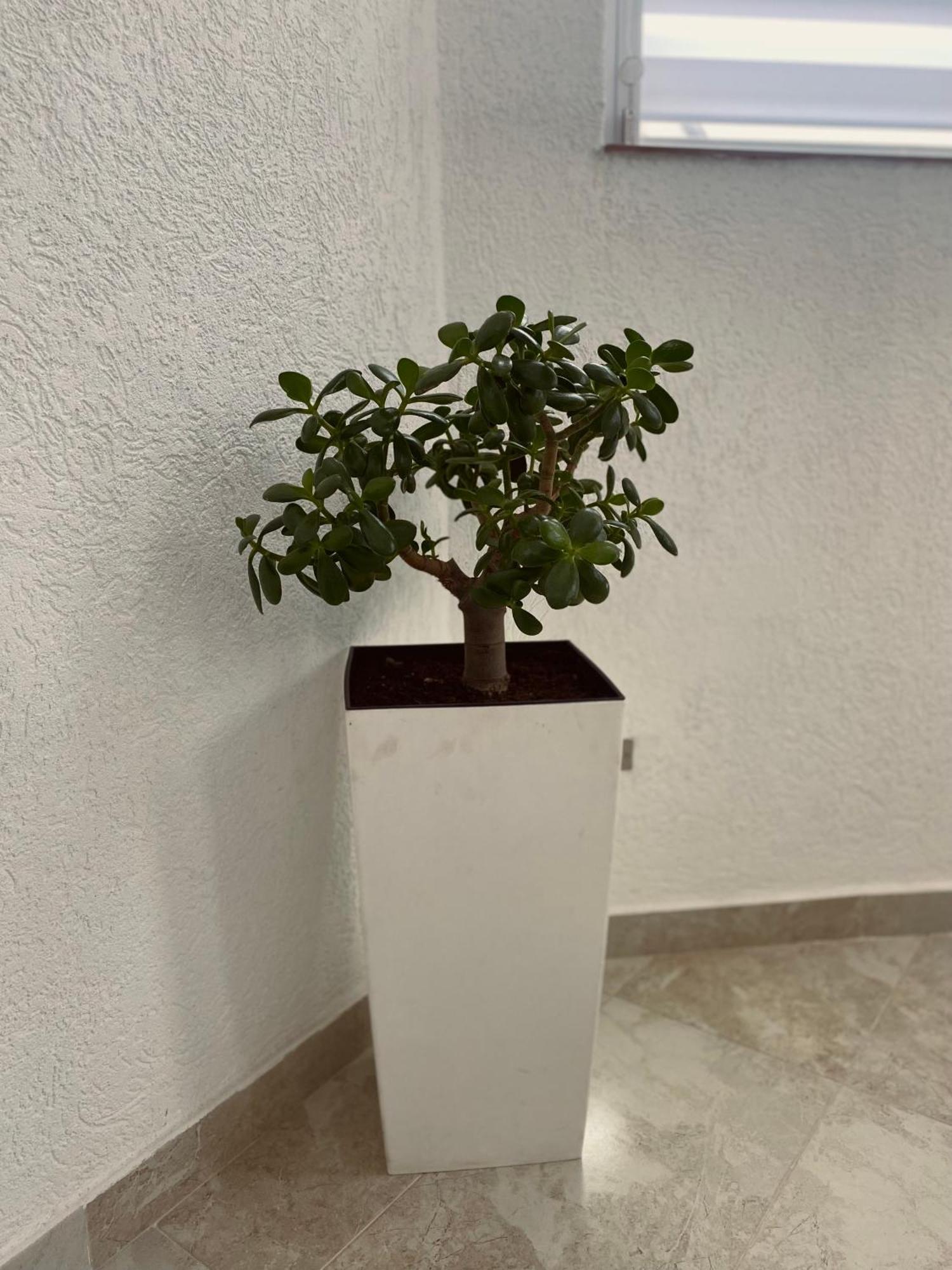 Greenhill Apartments Куманово Экстерьер фото